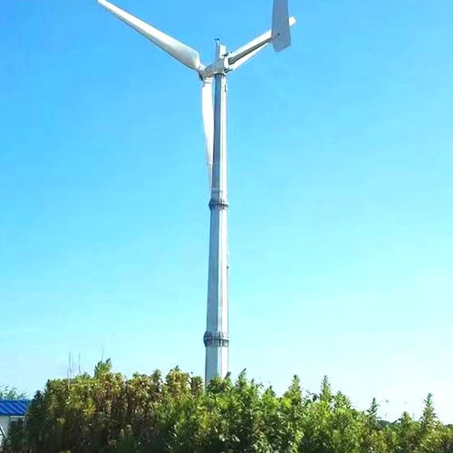 衢江晟成30千瓦风力发电机 高效风光互补系统引领绿色能源新风尚