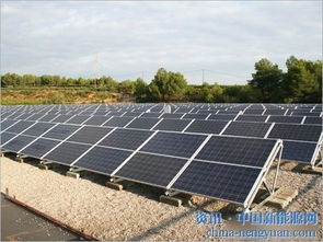 太阳能发电总量跃居全球第一 技术服务驱动的绿色革命